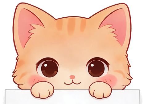 猫猫